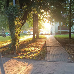 Herbal Inspector (prod.Kxde)