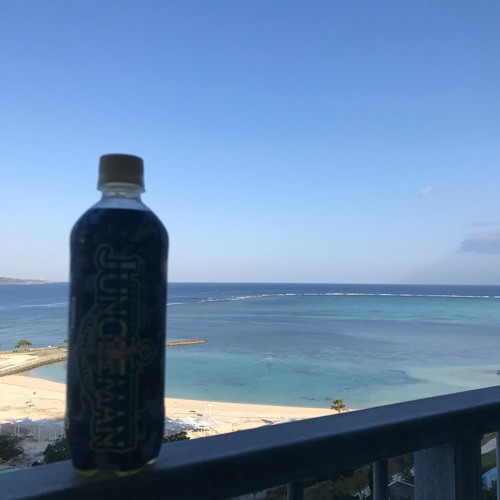 ムーンライト伝説REMIX