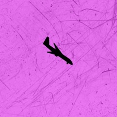 Arrival/Crash Landing (Prod. by Waveyy & Boyfifty)