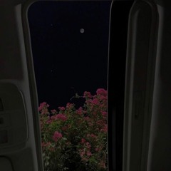 ذكرى عزيزة .