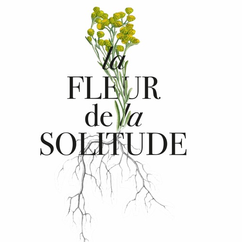 Stream La Fleur De La Solitude Official Trailer By La Fleur De La Solitude Listen Online For Free On Soundcloud