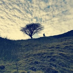 The End Of The Affair - Acoustic (Cover)