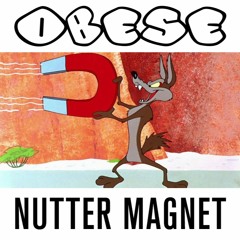 Nutter Magnet
