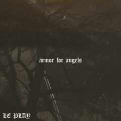 armor for angels