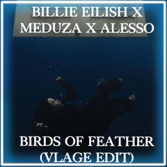 Billie Eilish x Meduza x Alesso - Birds Of Feather (Vlage Tell Me Why Edit)