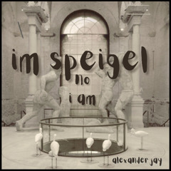 im spiegel, no i am