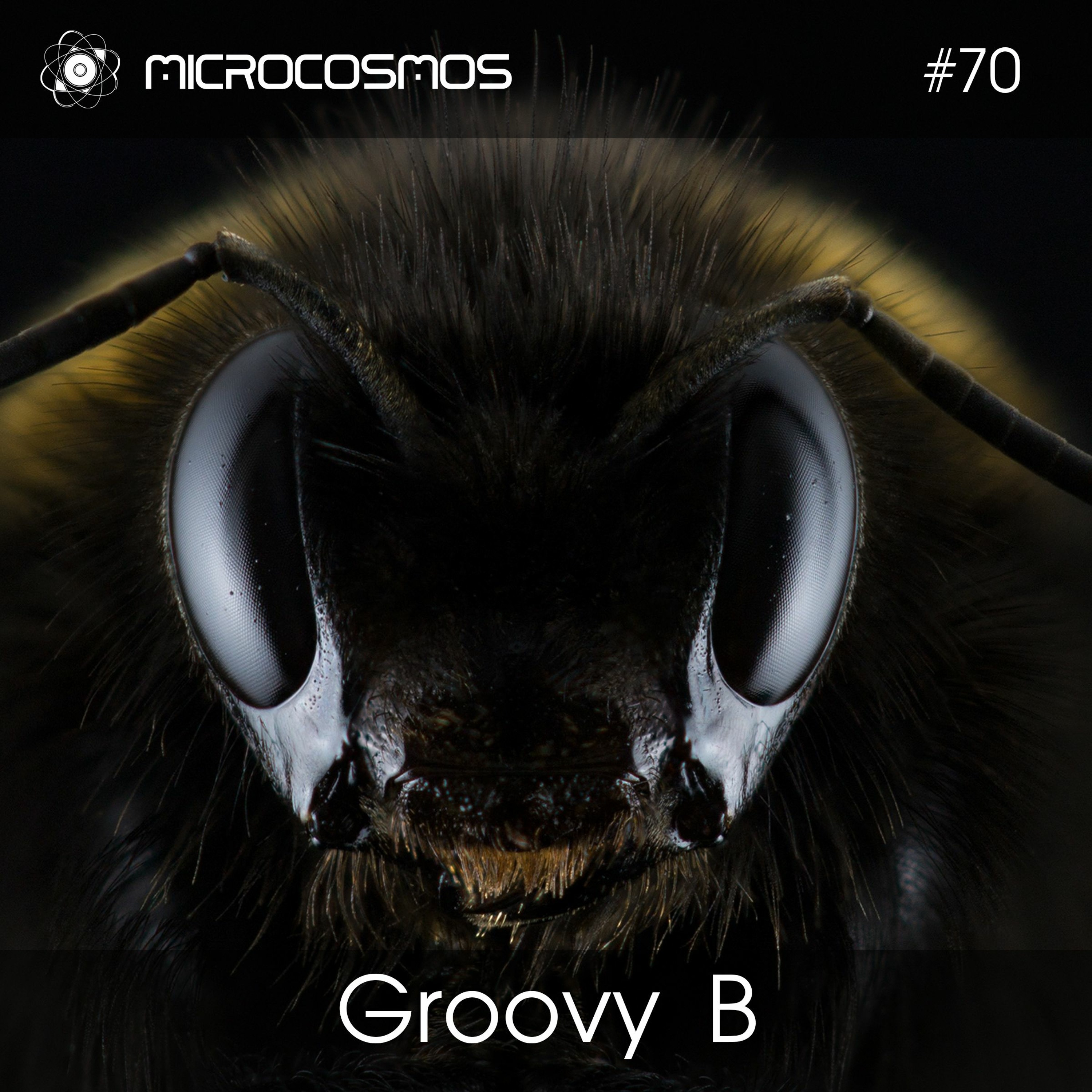 Groovy B — Microcosmos Chillout & Ambient Podcast 070