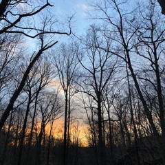 Found In Stillness, for violin, clarinet, percussion, and fixed media