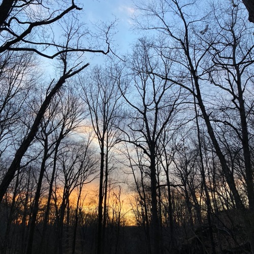 Found In Stillness, for violin, clarinet, percussion, and fixed media