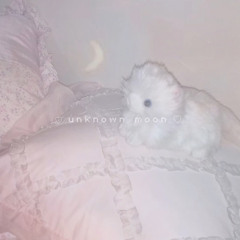 𓈒𓏸 𝕦𝕟𝕜𝕟𝕠𝕨𝕟 𝕞𝕠𝕠𝕟 ☽ (prod.BonnyTown)