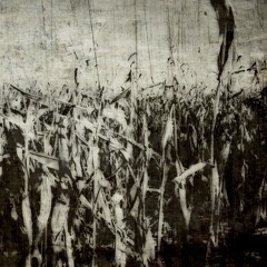 Majestic - Whats your Pleasure / 1993.mp3