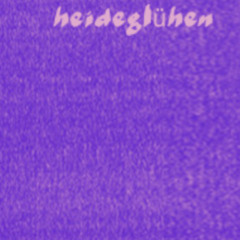 Heidegluhen Wintergarten (Oct 11,2025)