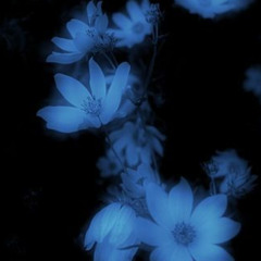 Only For Me