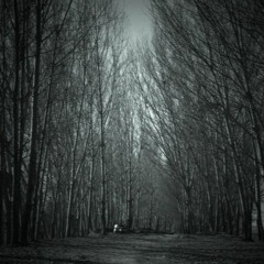 Haunt. (Free Download)