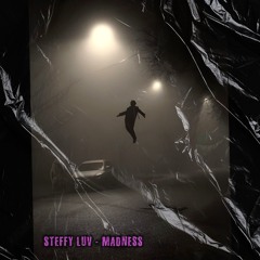Steffy Luv - Madness