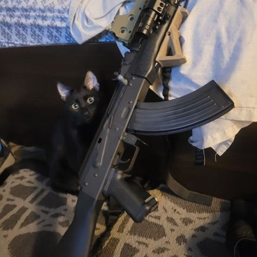 pull up to da eu (inphydelmixx)