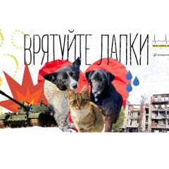 Врятуйте лапки — історії тварин, які постраждали під час війни