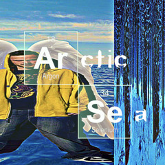 ARCTIC SEA