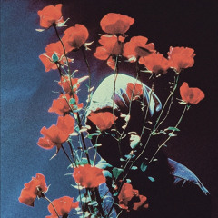 JAM SESH VIBE IN MY PEACE FREESTYLE