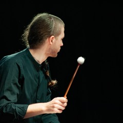 Saverio Tasca - Borders Evolution