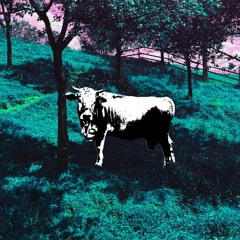 Zhanulka, КАКАЯ РАЗНИЦА — Крестики-Нолики