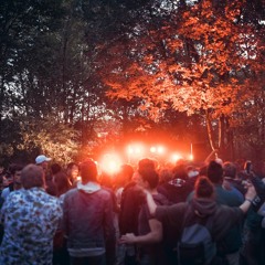 Natural Limit @ Secret Rave (Isautier Mix)