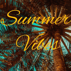 DJ bedsound  summer ⛱🕶😎vibe🌴🔥 .mp3
