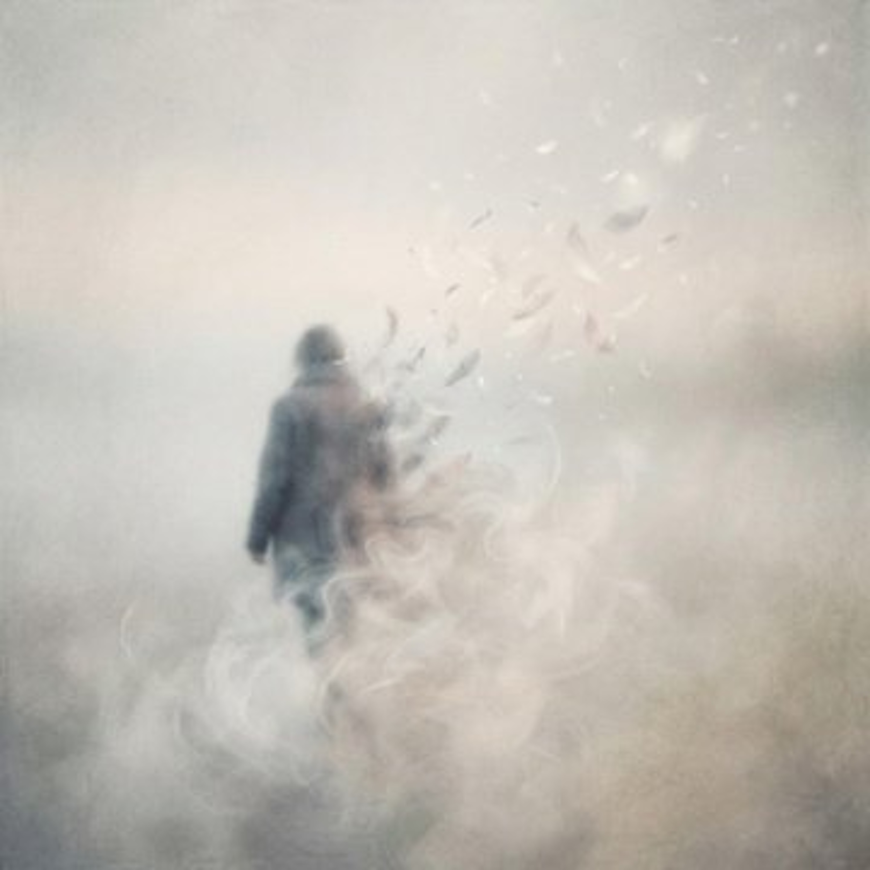 Was niemand sieht episode artwork