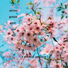 Never Gonna Give You Up