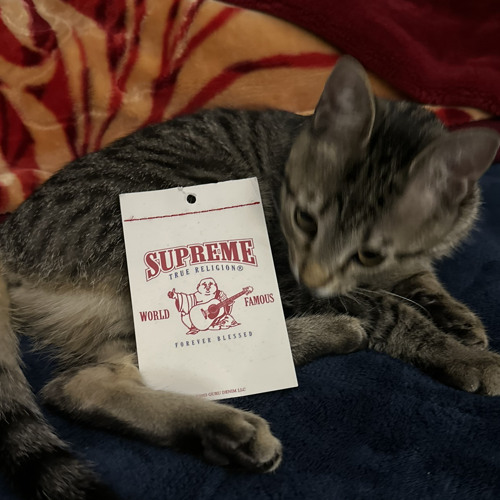 pop it lil double O unreleased