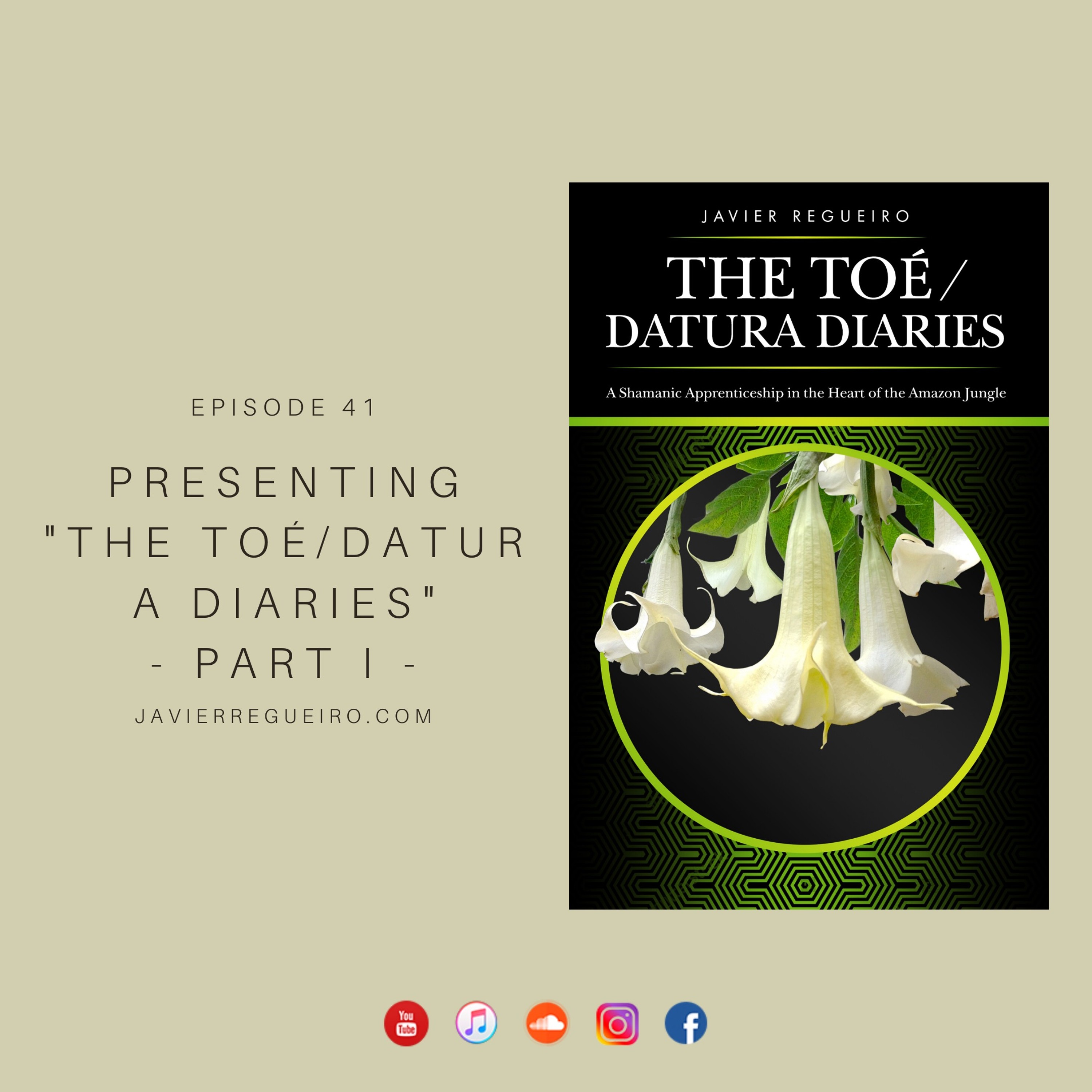 # 41: PRESENTING ”THE TOÉ/DATURA DIARIES” - PART I