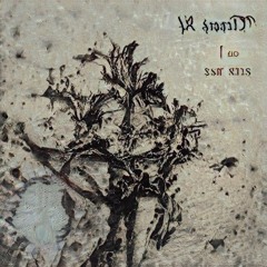 A black seed yet blooms a withering tree