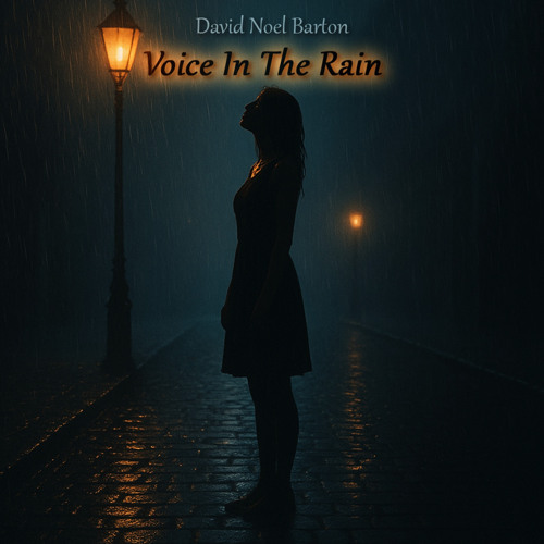 Voice in the Rain