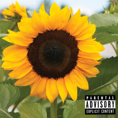 Lemon Pepper Freestyle (REMIX)