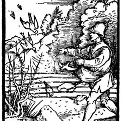 20240204 - Sexagesima - Baptism and the Sower