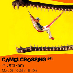 Camelcrossing #01 - Ottäkam - 08/10/2025