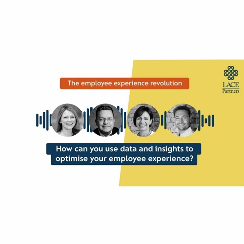 How can you use data and insights to optimise your employee experience?