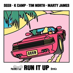 Seeb - Run It Up Feat. K Camp, Tim North & Marty James (Rd0Dave Remix)