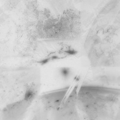 Reconnaissance (cenaceae Remix)
