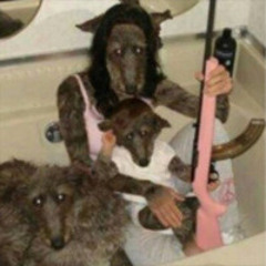NPC DETECTOR 🐺