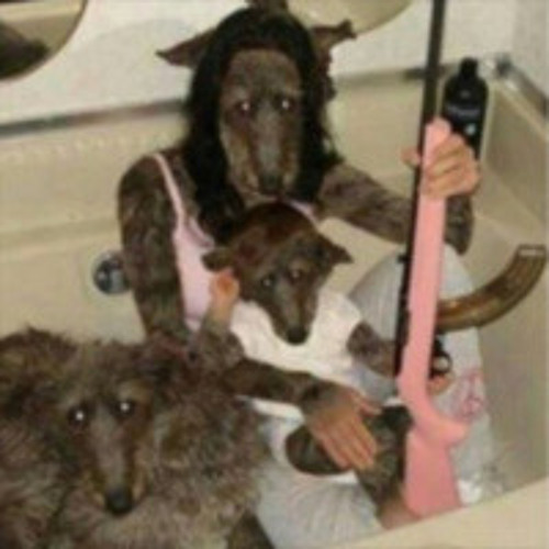 NPC DETECTOR 🐺
