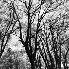 la mort guide mon chemin