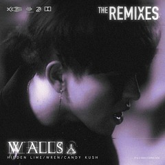 Z - SANG(지상) - Walls(YOON(Wren) Remix)