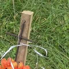 FED NUMBER 177 (prod.Eskimos x Taigen)