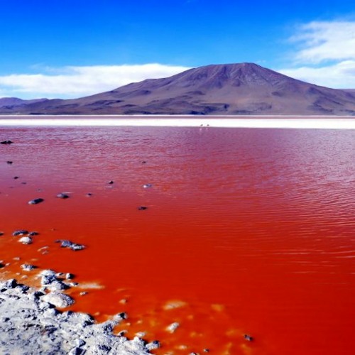 مياده الحناوي background sleep music FREE DOWNLOAD