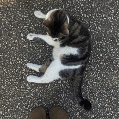 𝐓𝐇𝐄 𝐁𝐄𝐀𝐂𝐇- 𝐆𝐈𝐕𝐄𝐎𝐍 𝐂𝐎𝐕𝐄𝐑𝐄𝐃 𝐁𝐘 𝐌𝐈𝐇𝐀