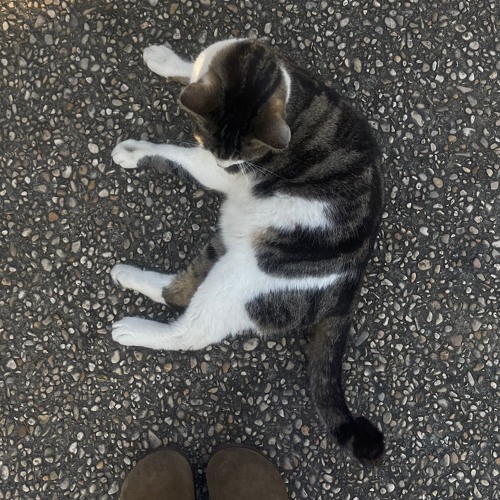 𝐓𝐇𝐄 𝐁𝐄𝐀𝐂𝐇- 𝐆𝐈𝐕𝐄𝐎𝐍 𝐂𝐎𝐕𝐄𝐑𝐄𝐃 𝐁𝐘 𝐌𝐈𝐇𝐀