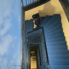 Treppenhaus (feat. DeeLou)