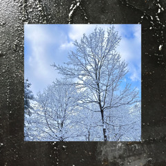 Bartholomé & Kuisto - Koshth