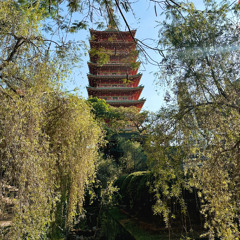 Nonstop China House 2025 - 飞飞专属  Vol.2 - Nhạc Trung Quốc - Nhạc tiktok TQ